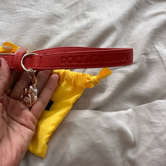 Dolce & Gabbana collar with Yellow Pouch - Picture 2 of 3